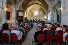 Le public du 17 juillet, cathédrale de la cité médiévale